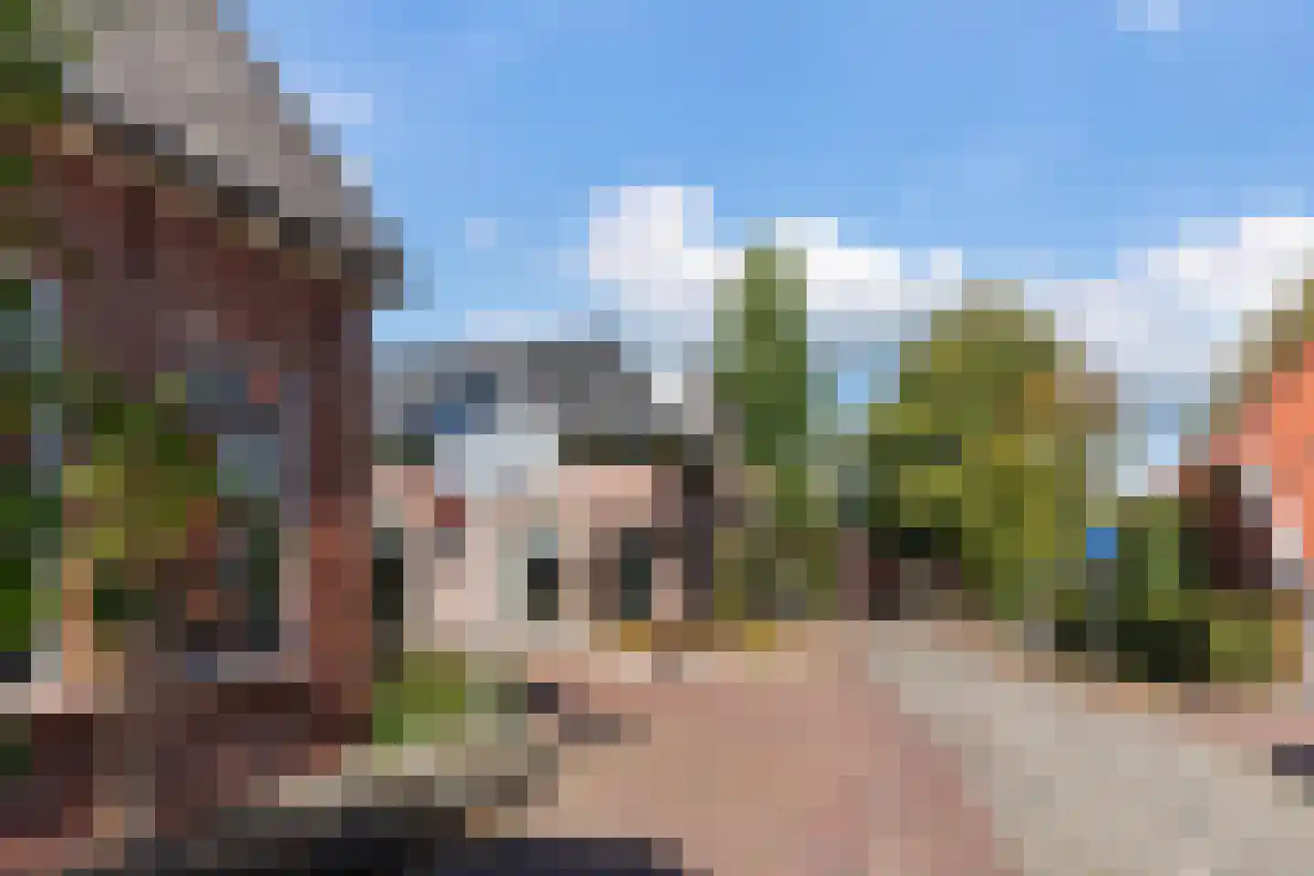 Raadhuisstraat 7 Diepenheim thumbnail 15