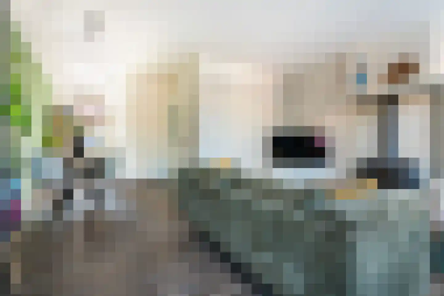 Raadhuisstraat 7 Diepenheim thumbnail 7