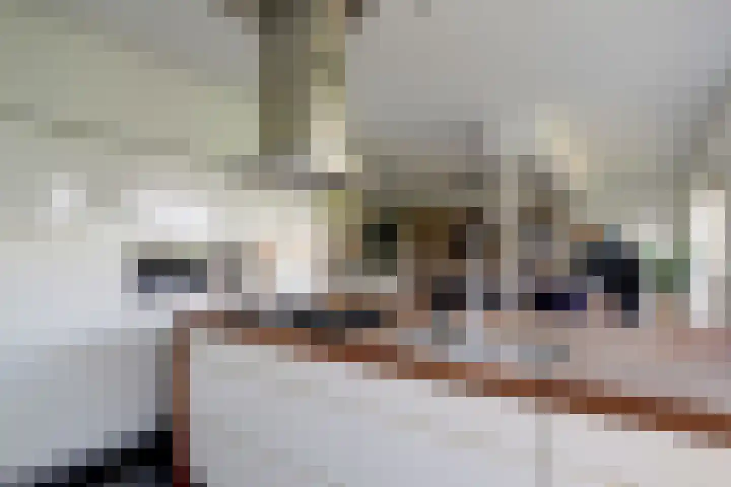 Raadhuisstraat 7 Wijdenes thumbnail 14