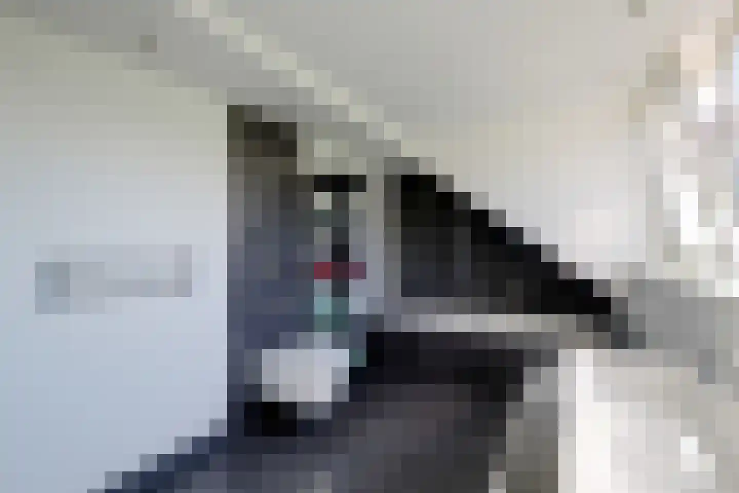 Raadhuisstraat 7 Wijdenes thumbnail 36