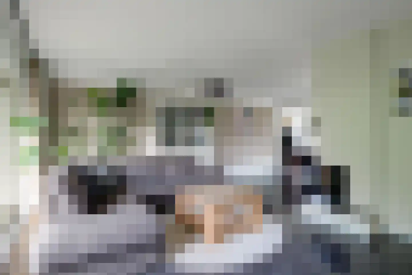 Raadhuisstraat 7 Wijdenes thumbnail 7