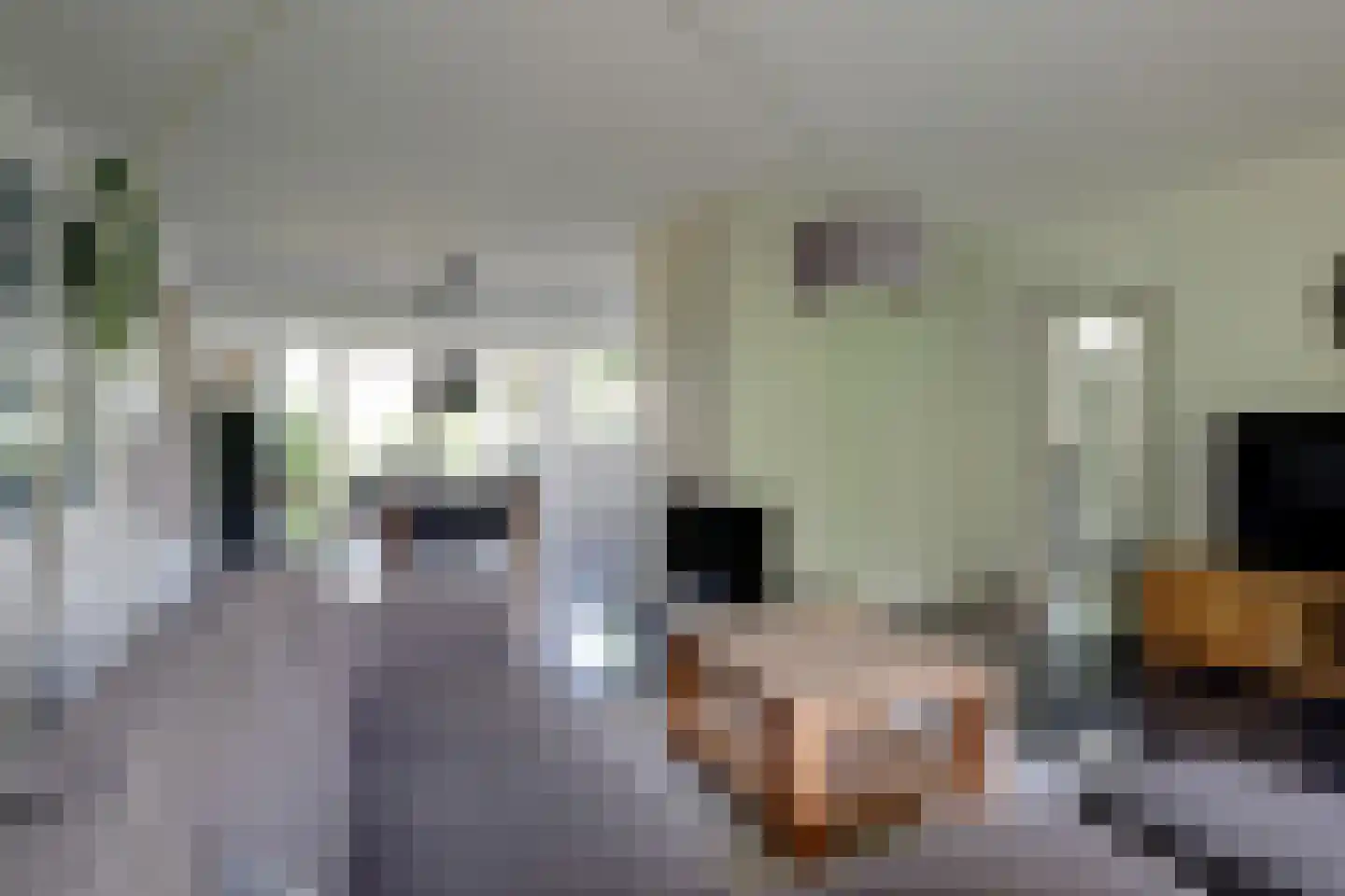Raadhuisstraat 7 Wijdenes thumbnail 8