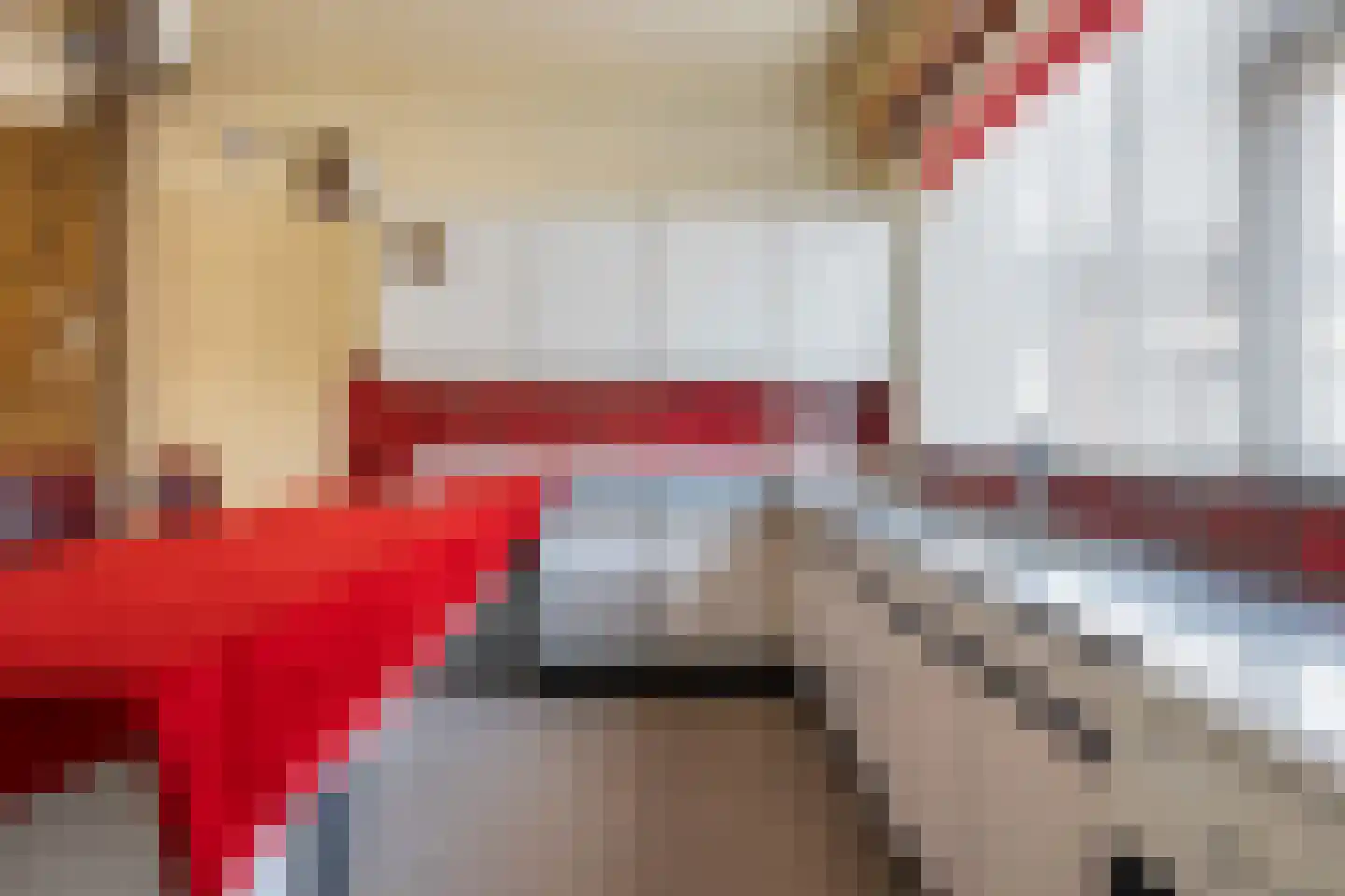 Raadhuisstraat 7 Wildervank thumbnail 13