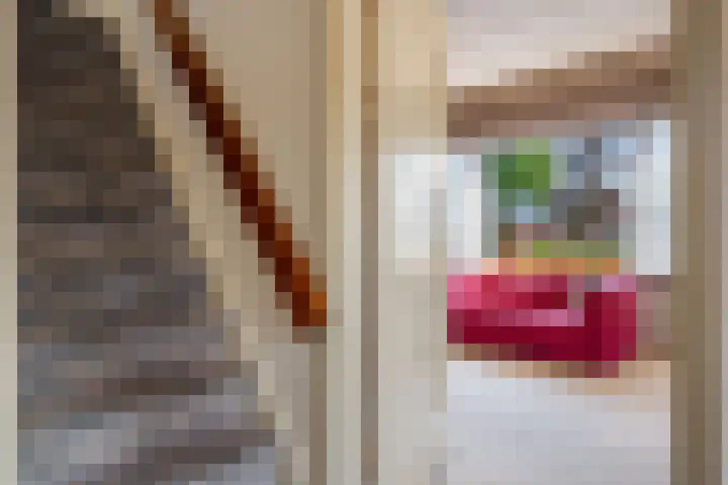 Raadhuisstraat 7 Wildervank thumbnail 15