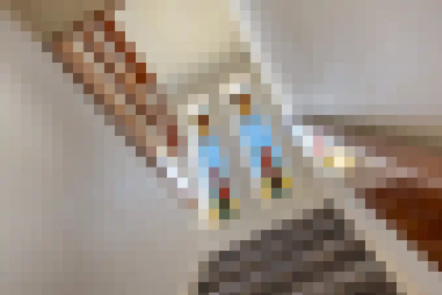 Raadhuisstraat 7 Wildervank thumbnail 27