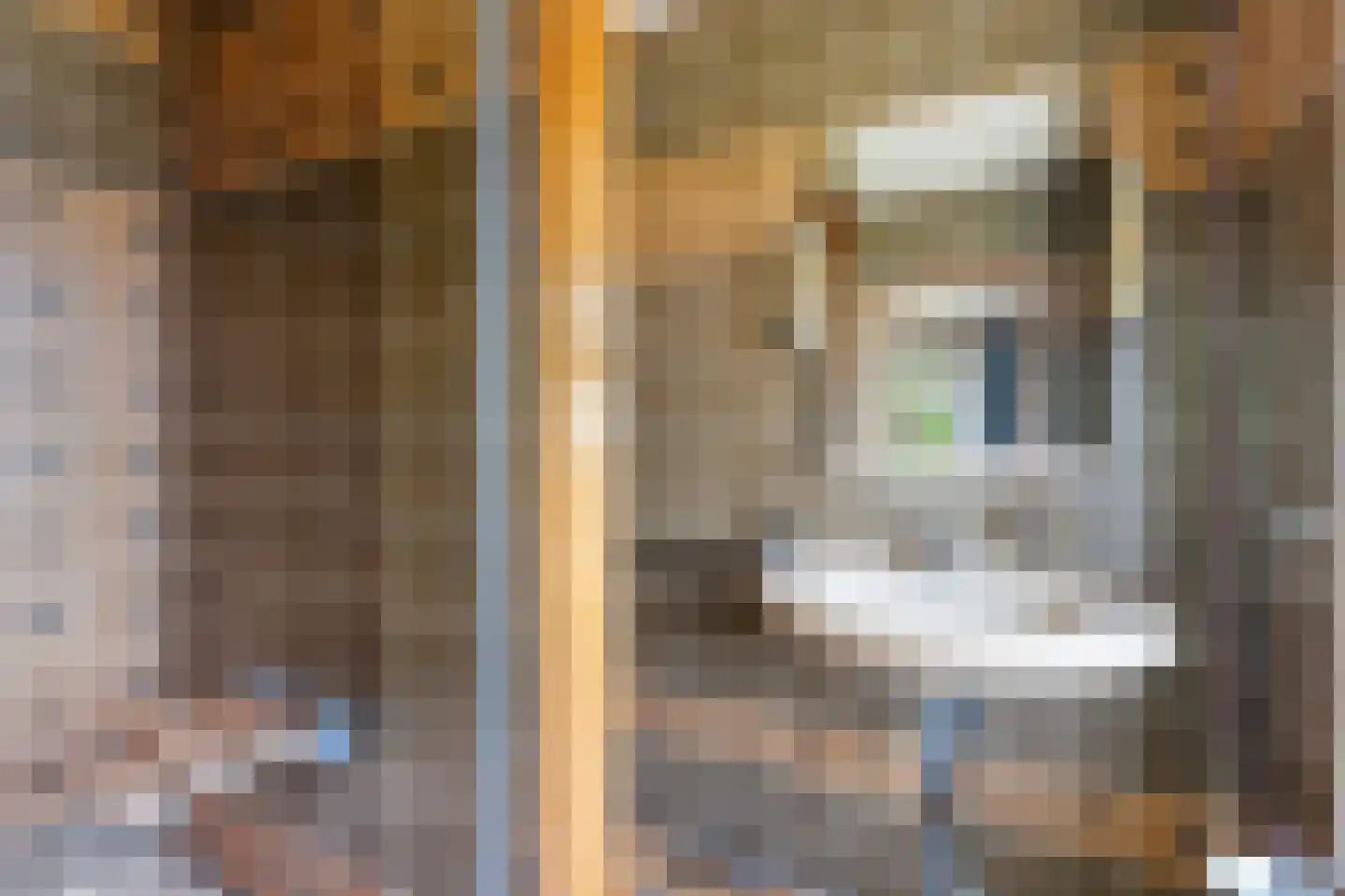 Raadhuisstraat 7 Wildervank thumbnail 37