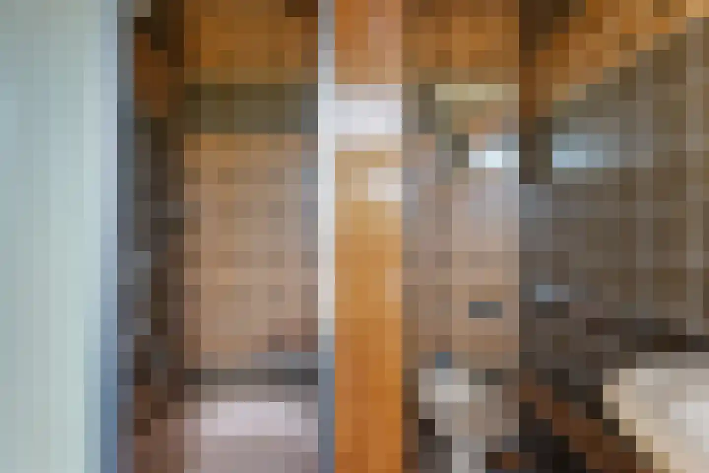 Raadhuisstraat 7 Wildervank thumbnail 38