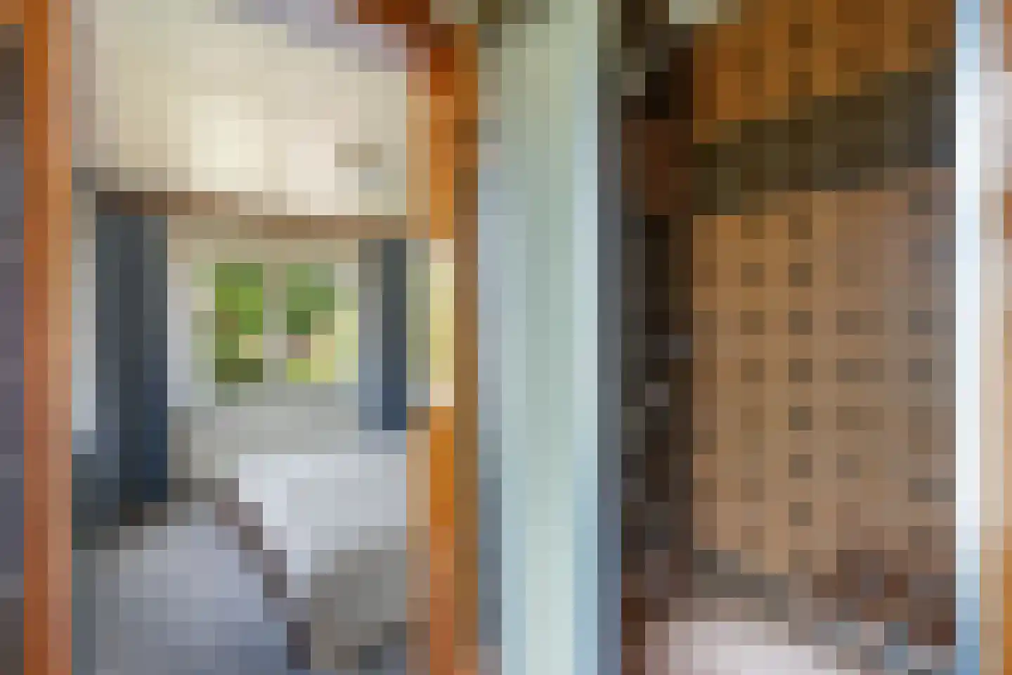Raadhuisstraat 7 Wildervank thumbnail 39