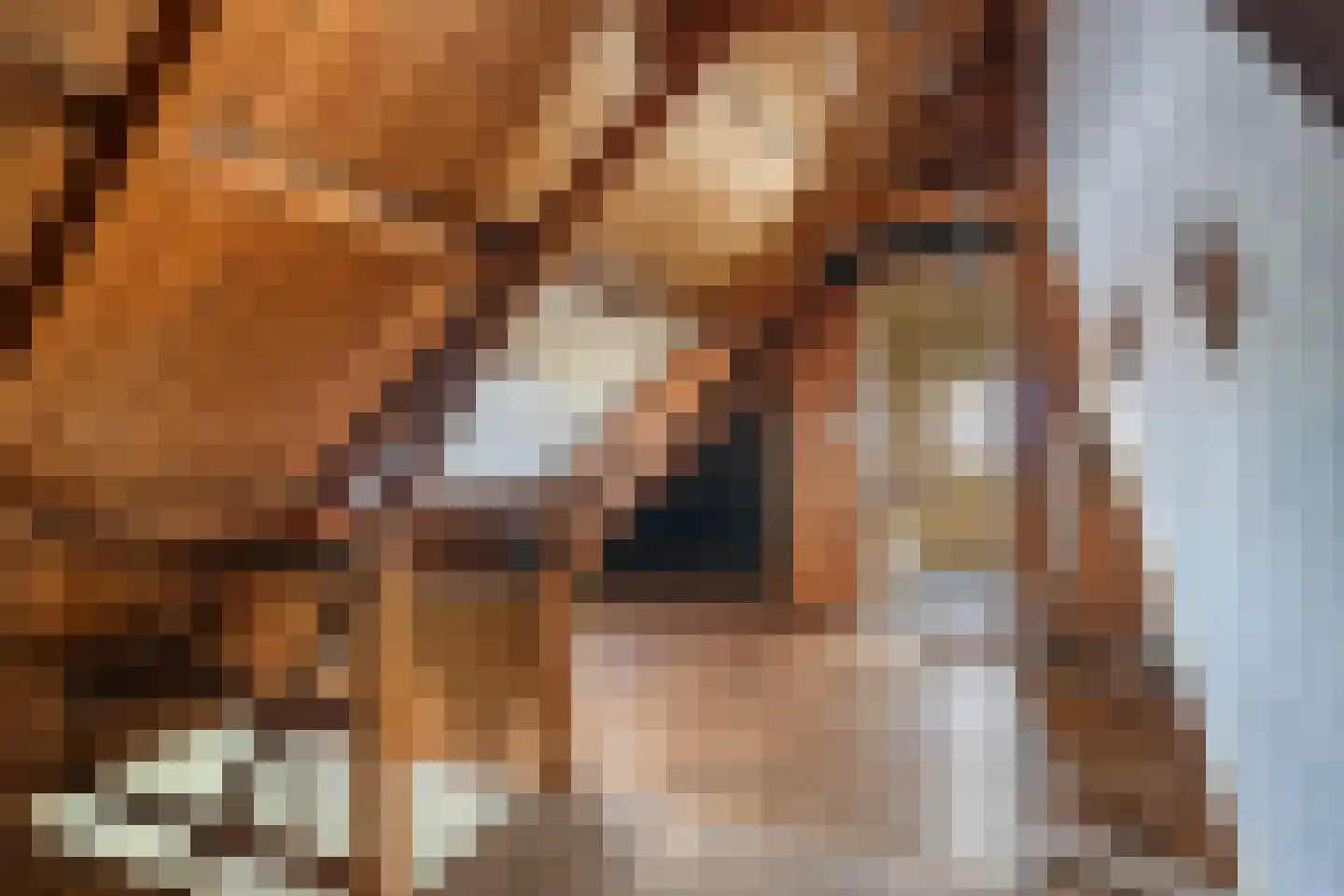 Raadhuisstraat 7 Wildervank thumbnail 42