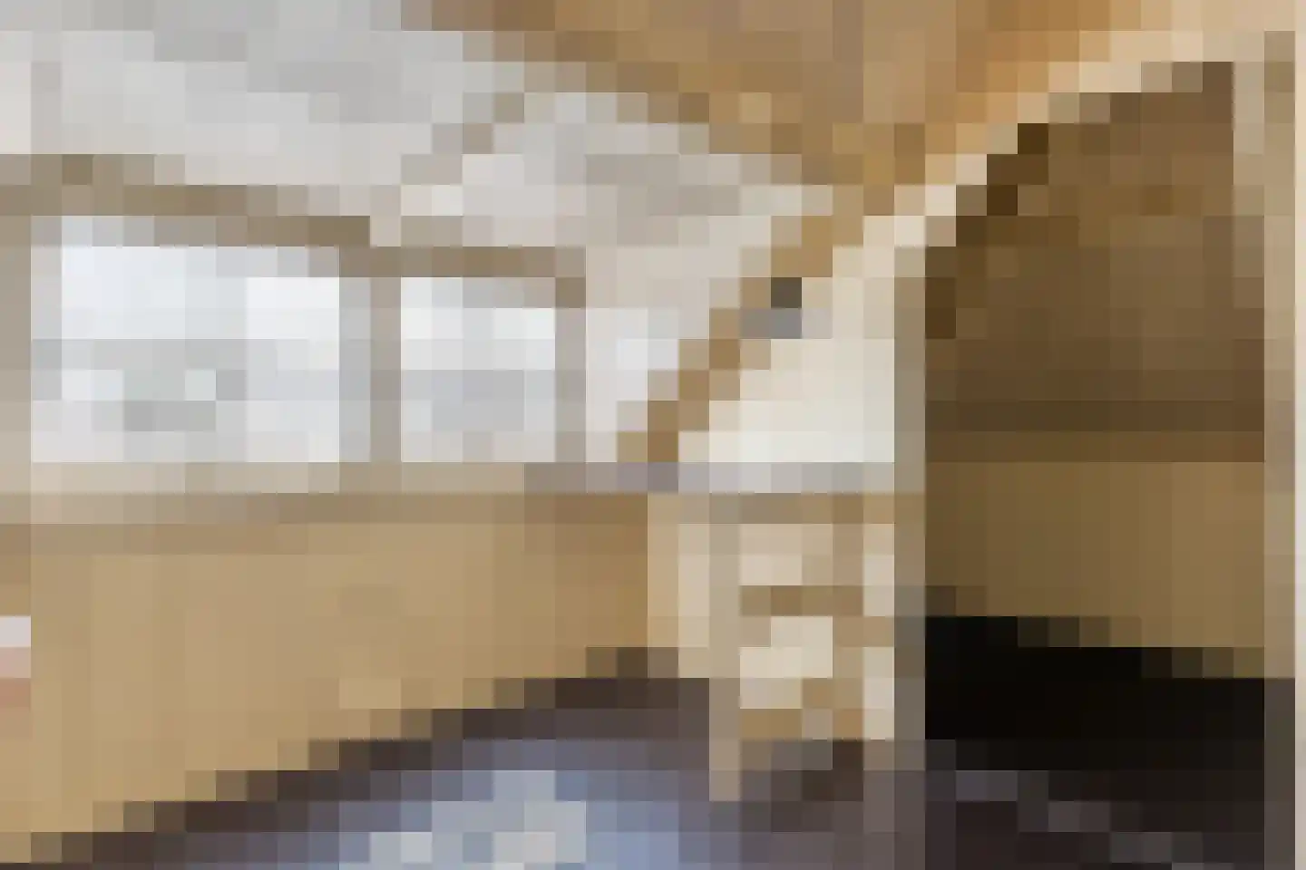 Raadhuisstraat 7 Wildervank thumbnail 43