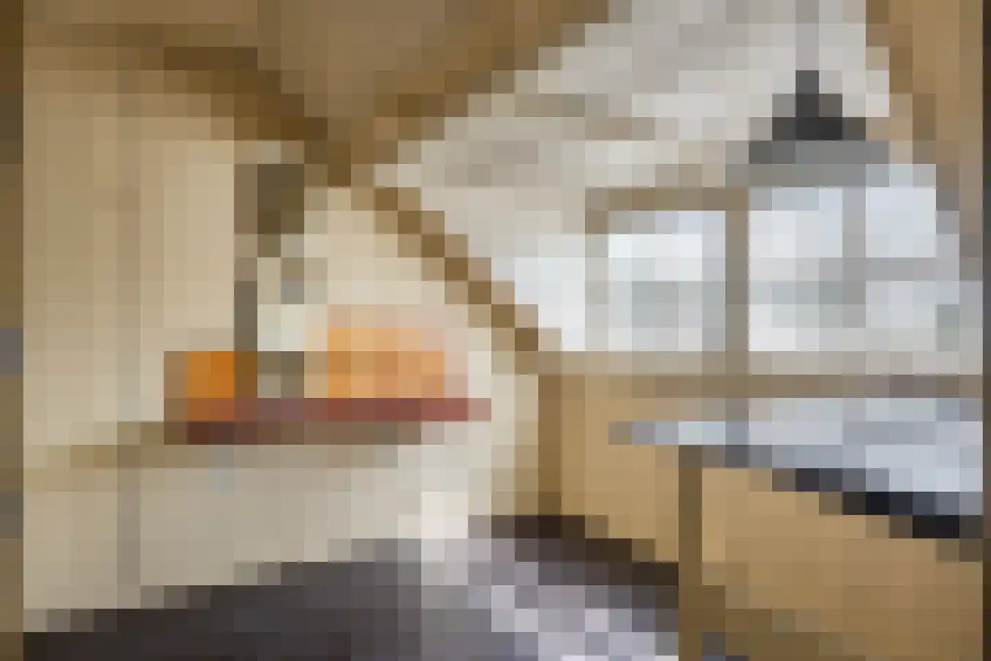 Raadhuisstraat 7 Wildervank thumbnail 44