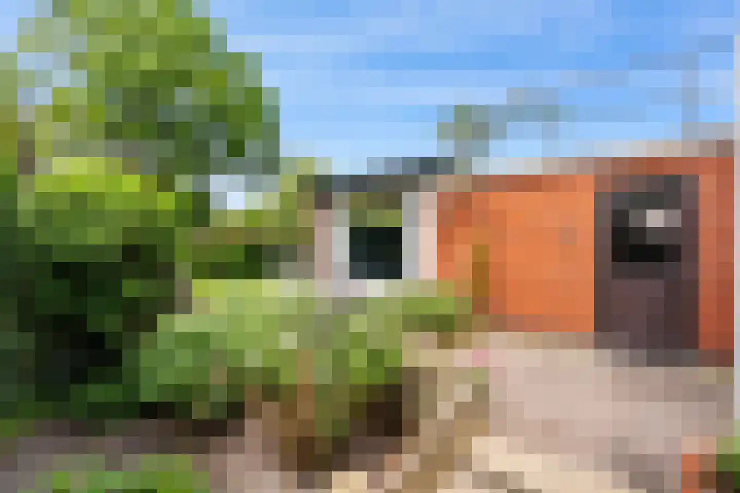 Raadhuisstraat 7 Wildervank thumbnail 46