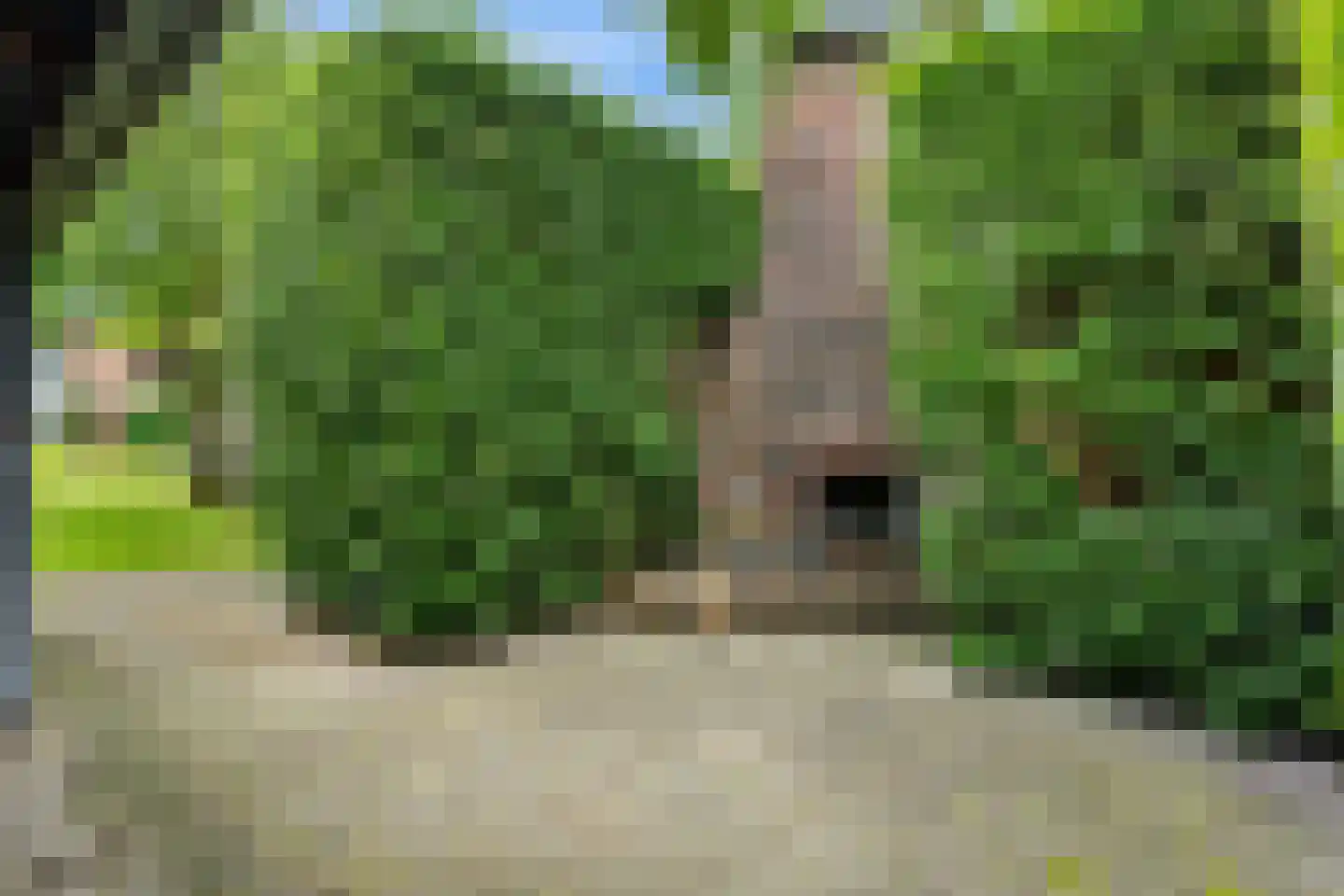 Raadhuisstraat 7 Wildervank thumbnail 51