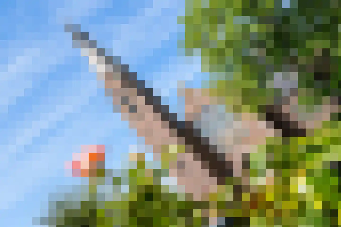 Raadhuisstraat 7 Wildervank thumbnail 65