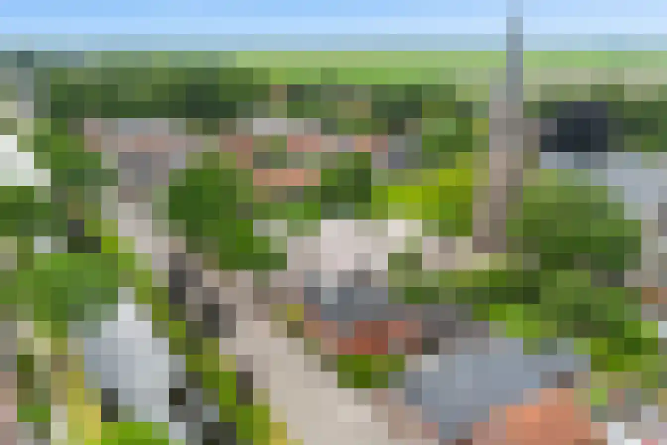 Raadhuisstraat 7 Wildervank thumbnail 68