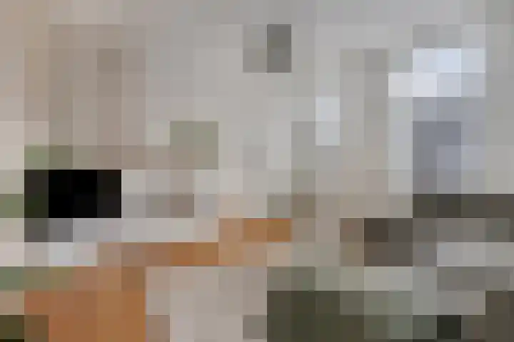 Raadhuisstraat 70 Rucphen thumbnail 14