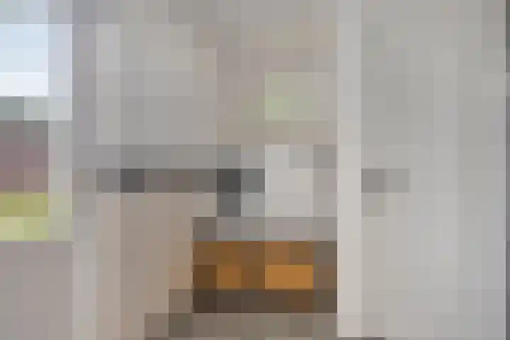 Raadhuisstraat 70 Rucphen thumbnail 19