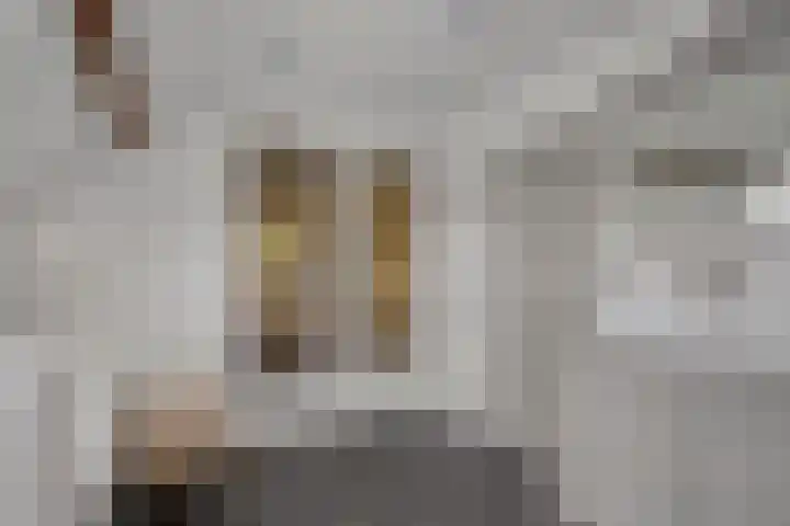 Raadhuisstraat 70 Rucphen thumbnail 26