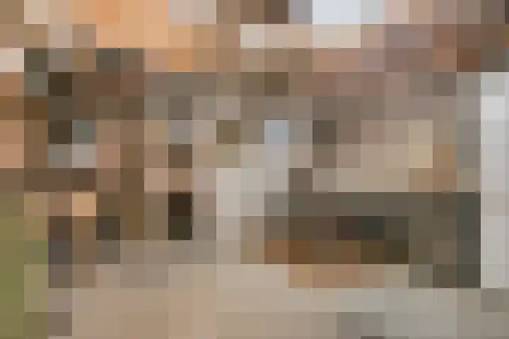 Raadhuisstraat 70 Rucphen thumbnail 29