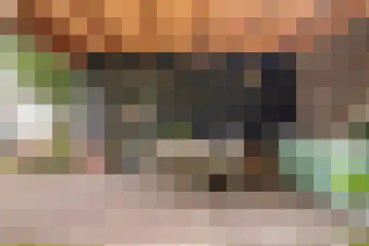 Raadhuisstraat 70 Rucphen thumbnail 33