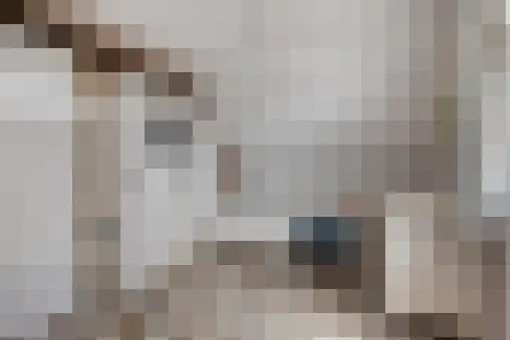 Raadhuisstraat 70 Rucphen thumbnail 5