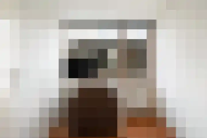 Raadhuisstraat 72 Alphen aan den Rijn thumbnail 36