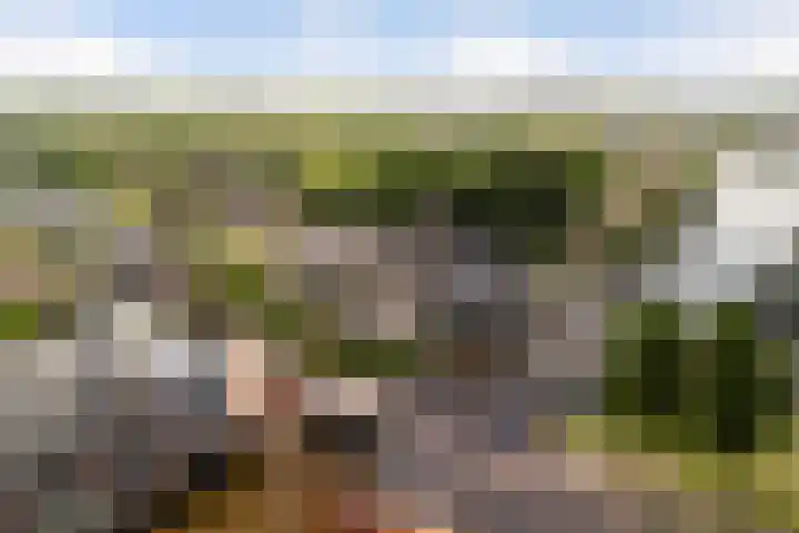 Raadhuisstraat 72 Alphen aan den Rijn thumbnail 4