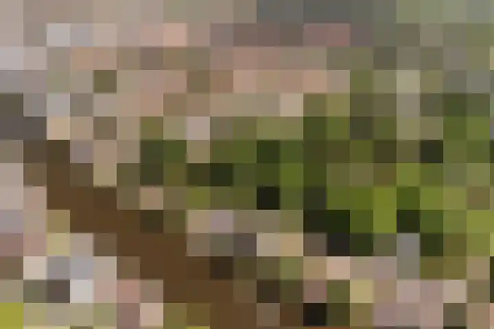 Raadhuisstraat 72 Alphen aan den Rijn thumbnail 42