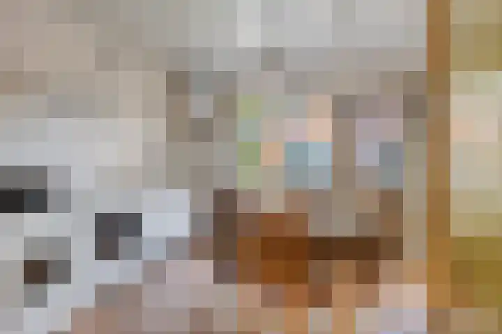 Raadhuisstraat 73 Rucphen thumbnail 11