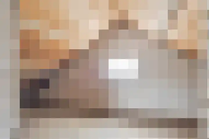 Raadhuisstraat 73 Rucphen thumbnail 34