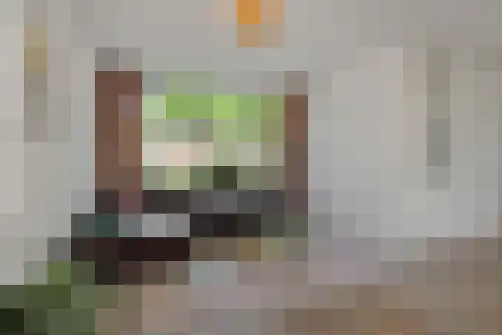 Raadhuisstraat 74 Rosmalen thumbnail 10