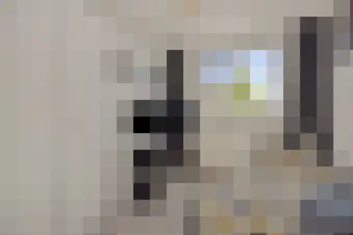 Raadhuisstraat 74 Rosmalen thumbnail 28