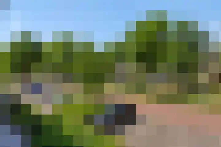 Raadhuisstraat 74 Rosmalen thumbnail 31