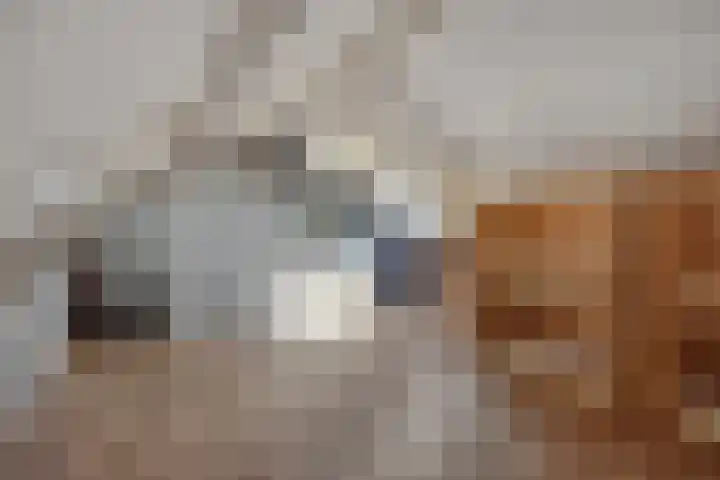 Raadhuisstraat 74 Rosmalen thumbnail 37