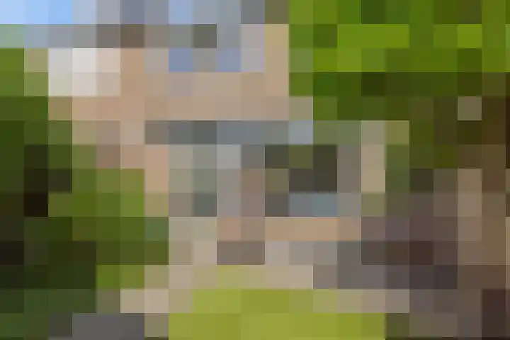 Raadhuisstraat 74 Rosmalen thumbnail 4