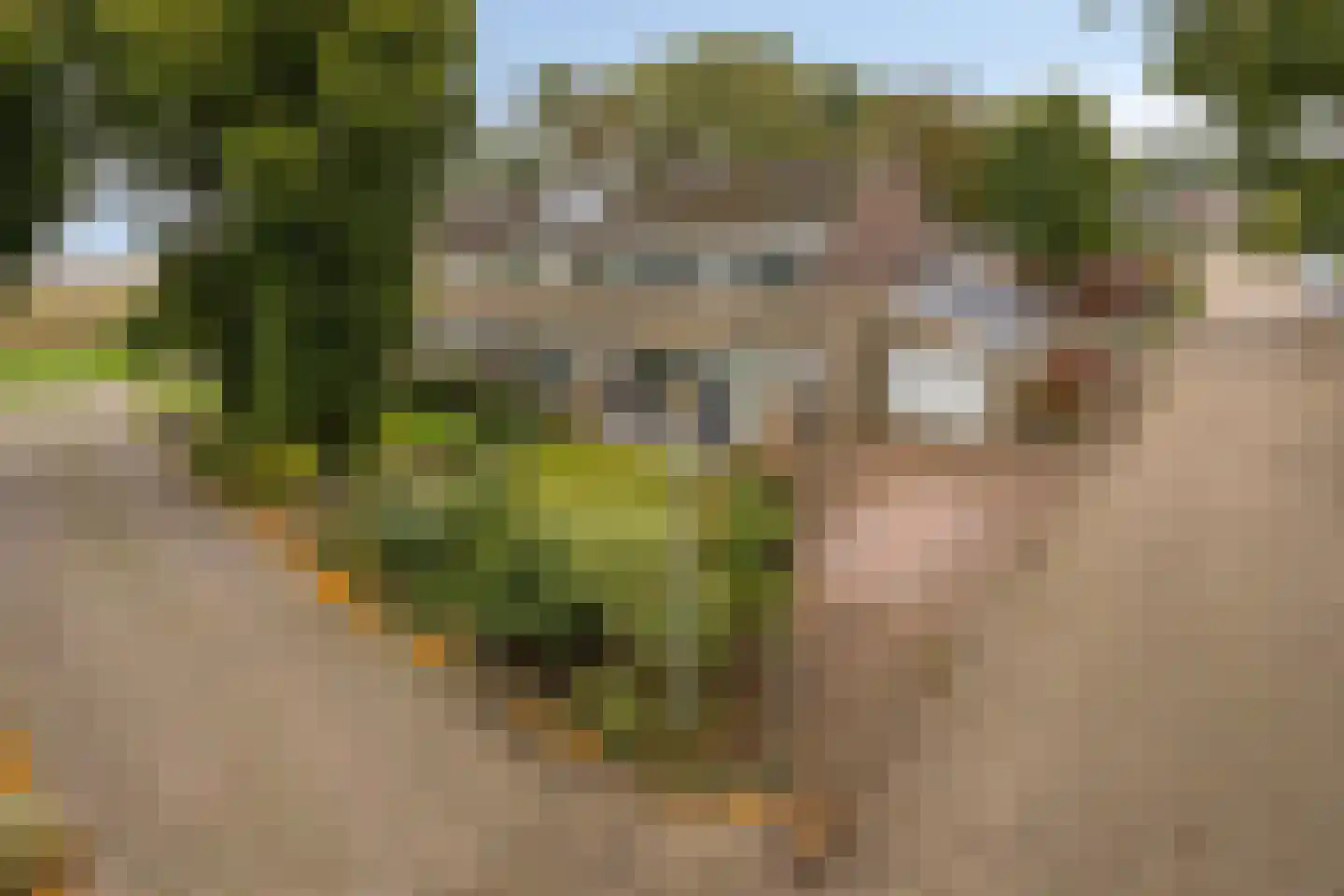 Raadhuisstraat 76 Beerta thumbnail 10