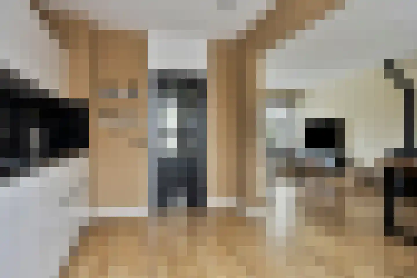 Raadhuisstraat 76 Beerta thumbnail 21