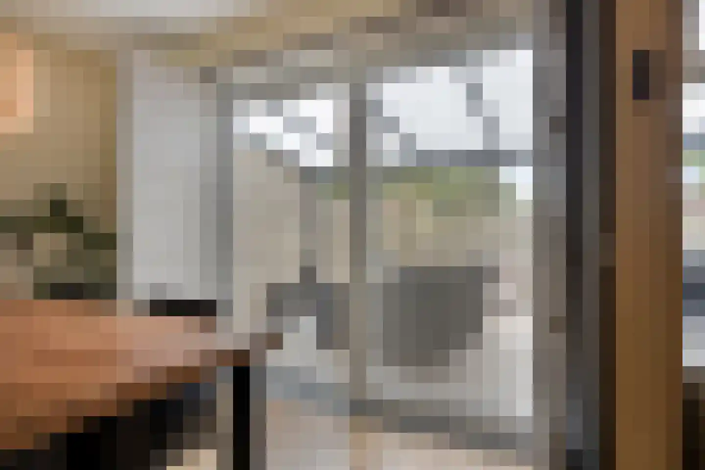 Raadhuisstraat 76 Beerta thumbnail 24
