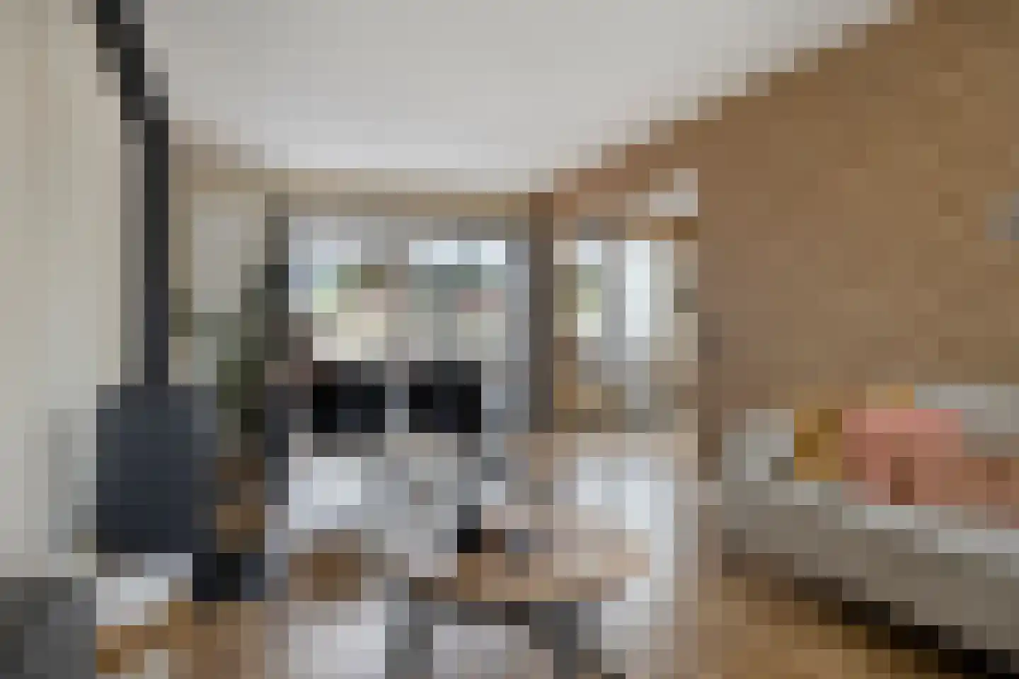 Raadhuisstraat 76 Beerta thumbnail 27