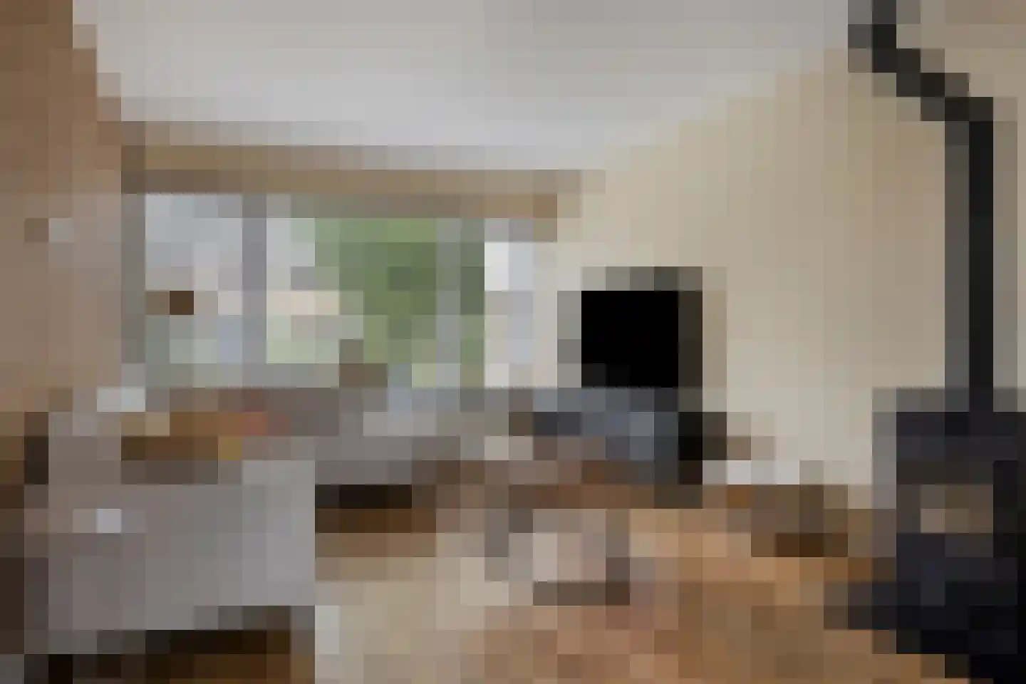 Raadhuisstraat 76 Beerta thumbnail 28