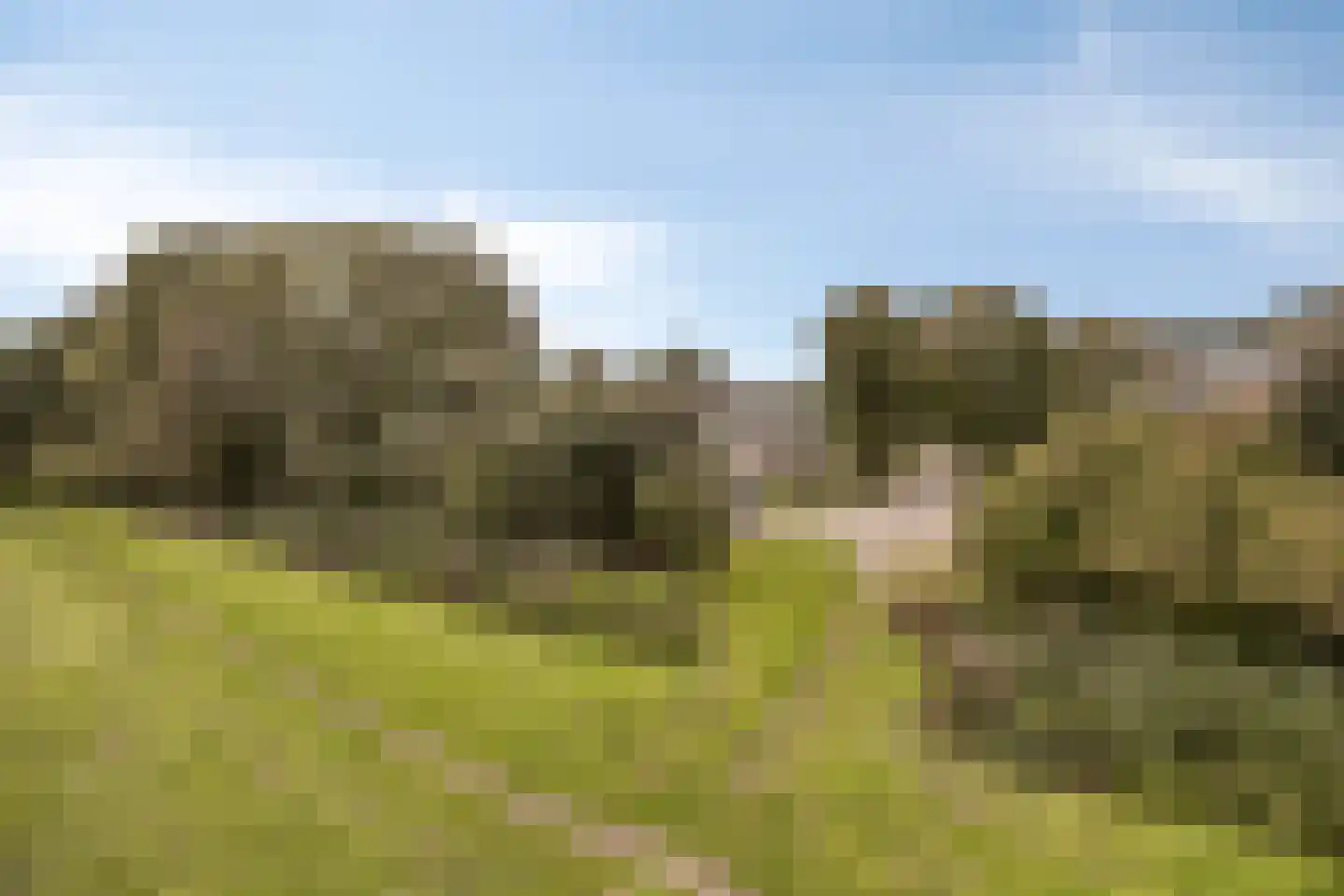 Raadhuisstraat 76 Beerta thumbnail 32