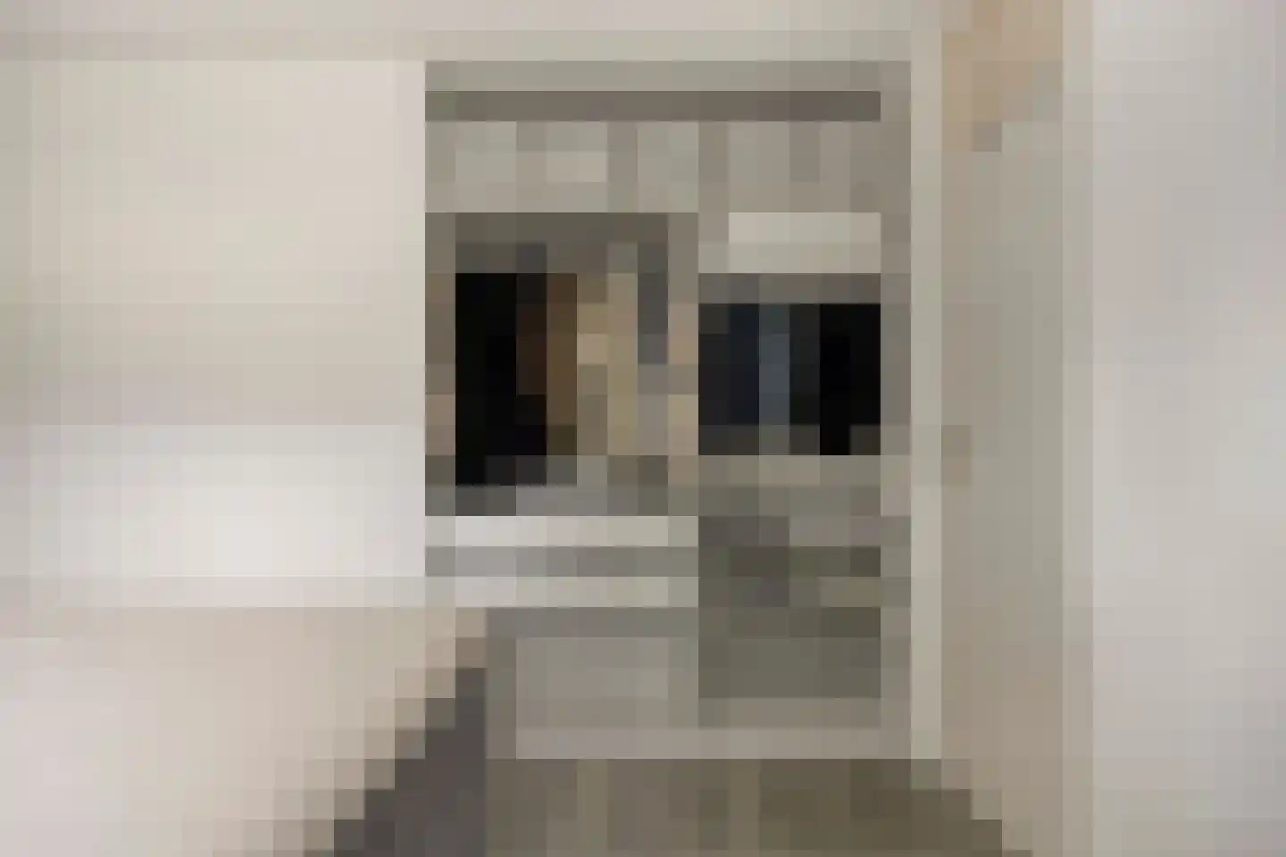 Raadhuisstraat 76 Beerta thumbnail 34