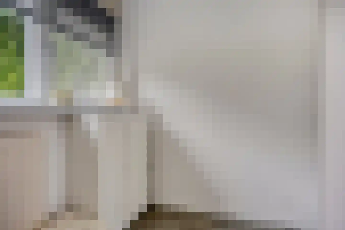 Raadhuisstraat 76 Beerta thumbnail 38