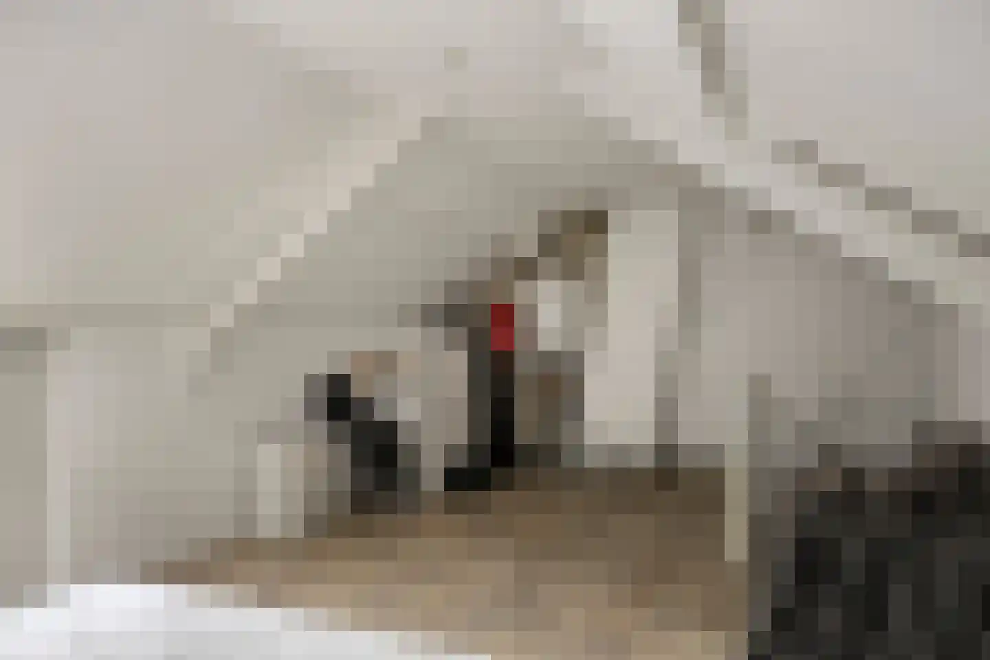 Raadhuisstraat 76 Beerta thumbnail 43