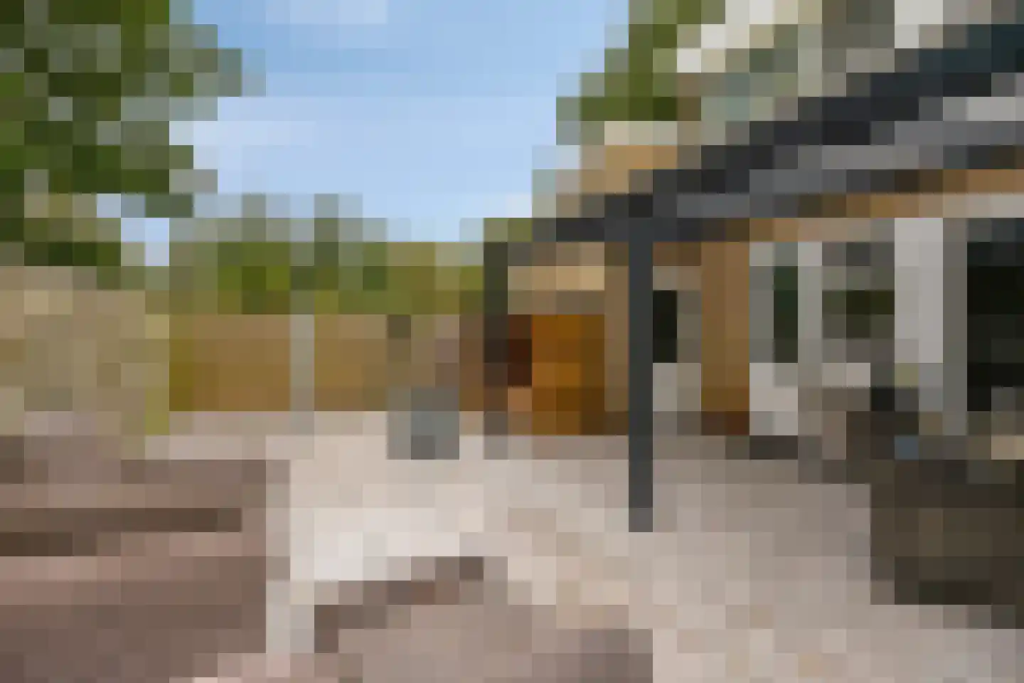 Raadhuisstraat 76 Beerta thumbnail 45