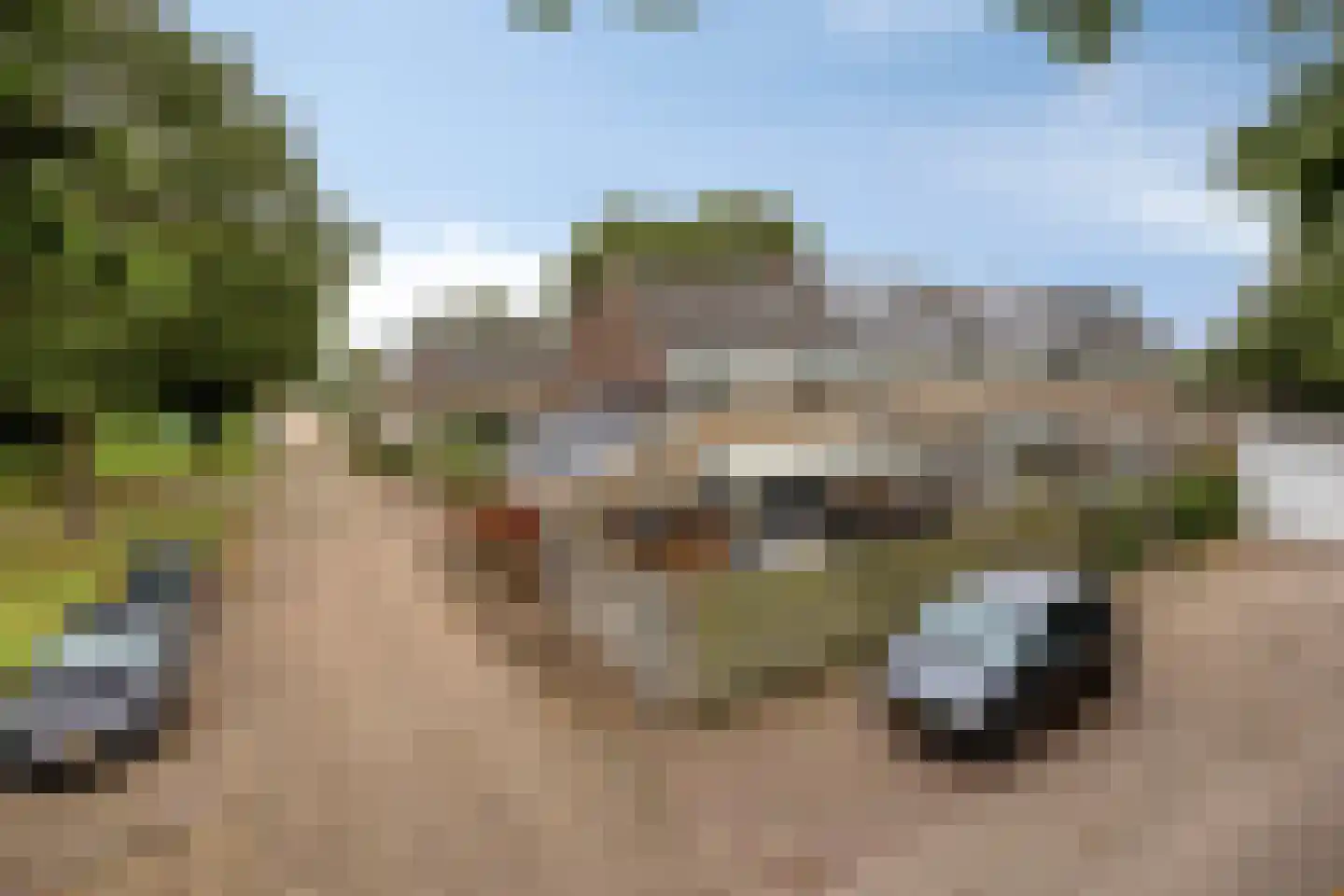 Raadhuisstraat 76 Beerta thumbnail 48