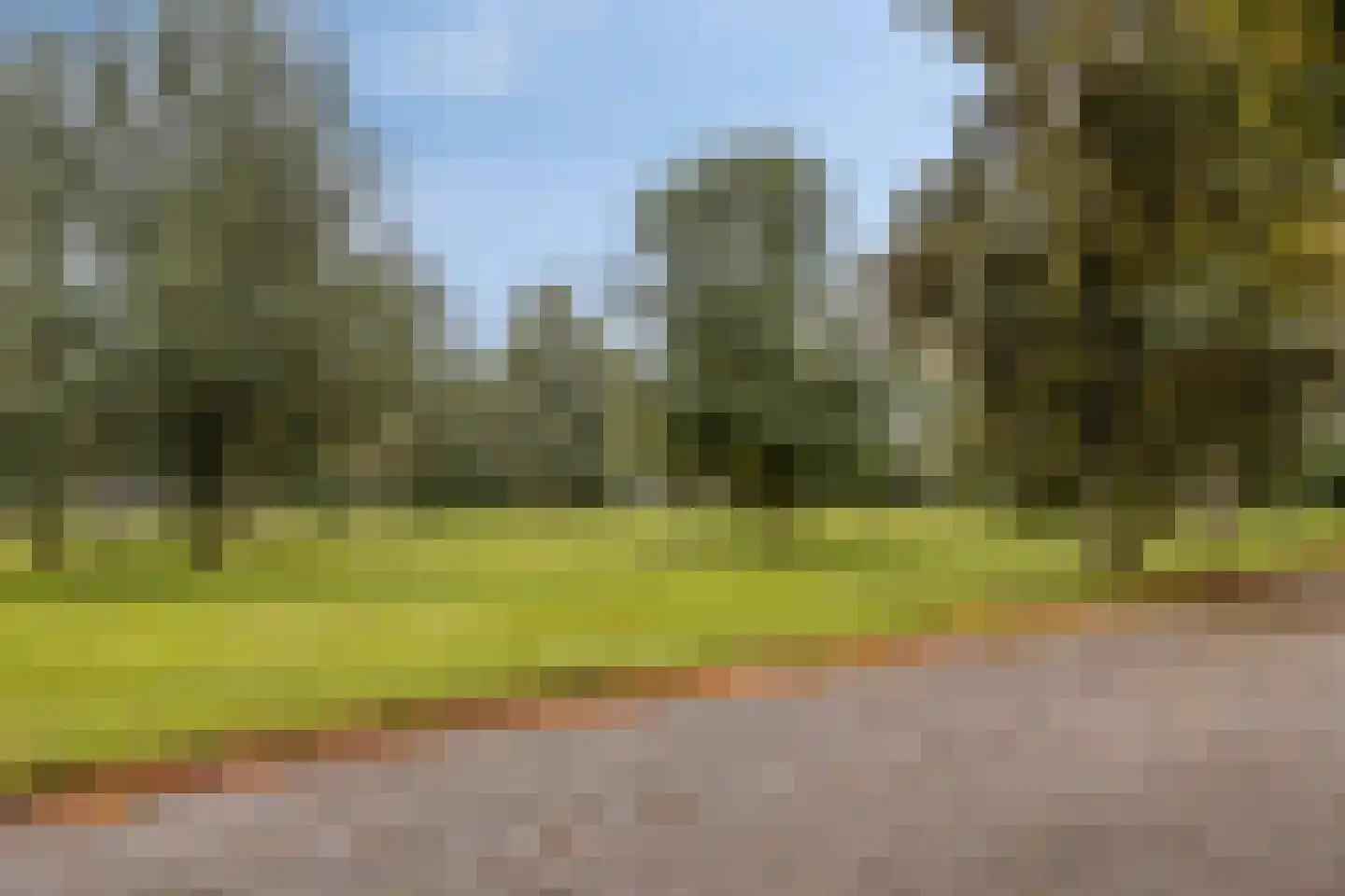 Raadhuisstraat 76 Beerta thumbnail 50