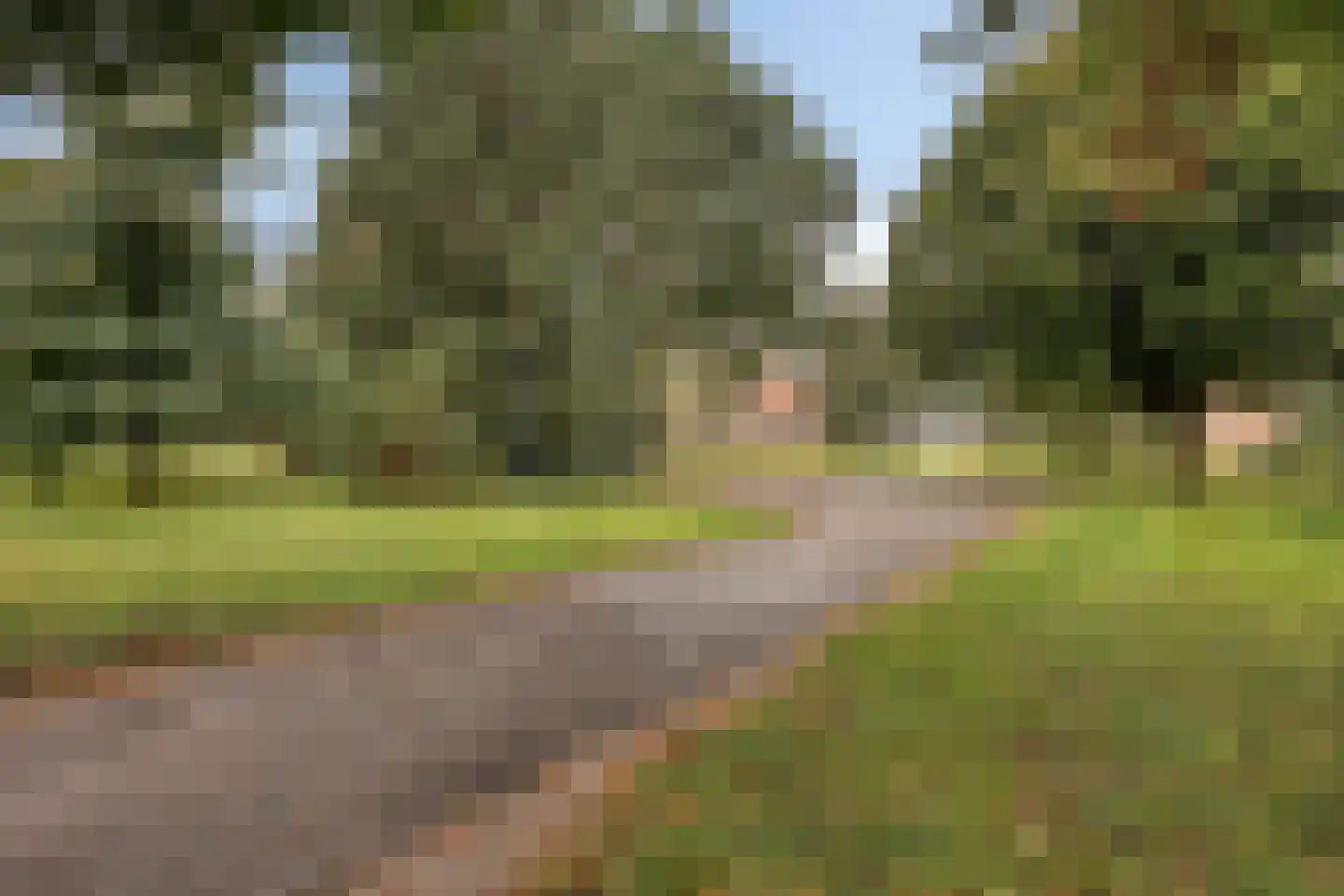 Raadhuisstraat 76 Beerta thumbnail 51