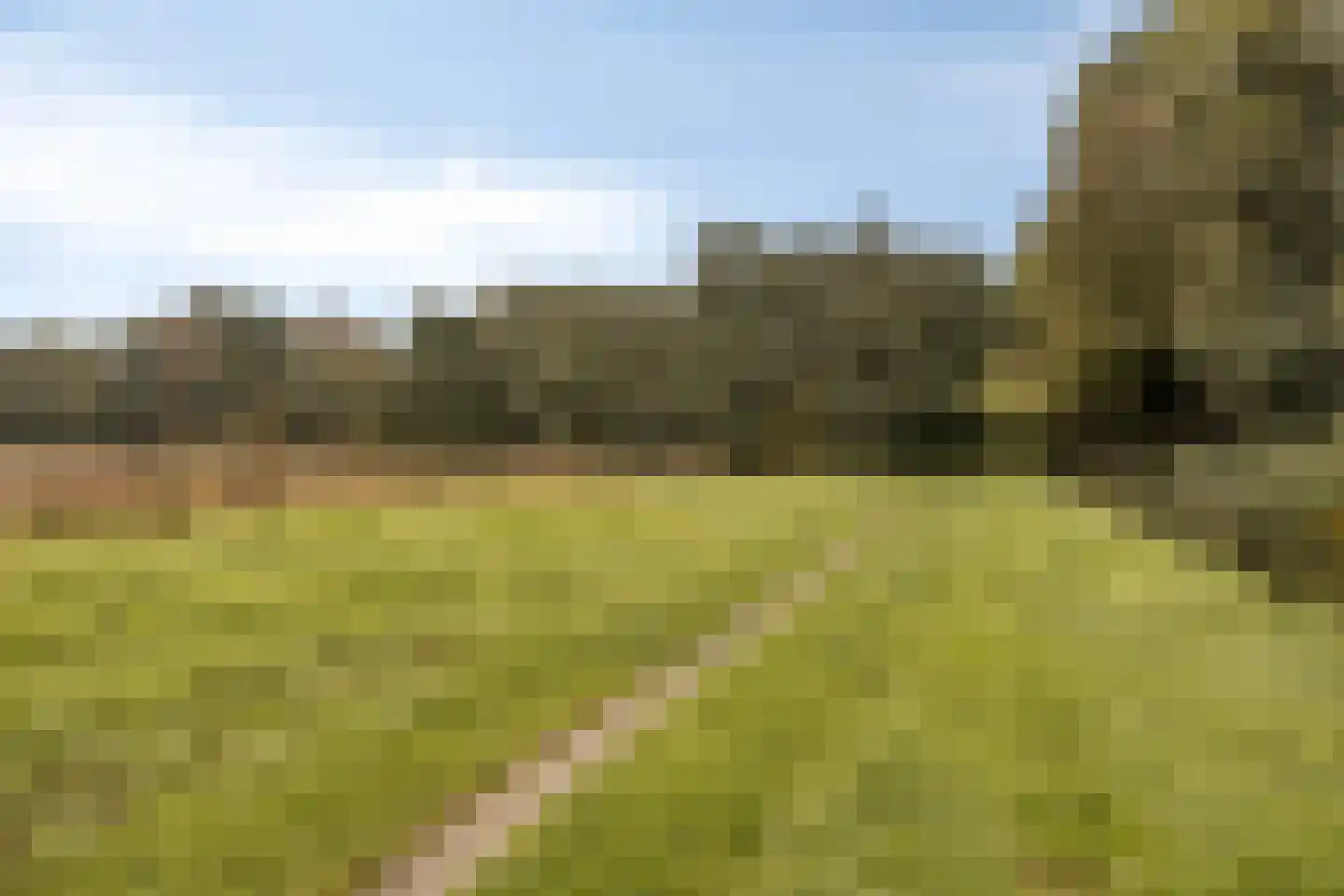 Raadhuisstraat 76 Beerta thumbnail 52