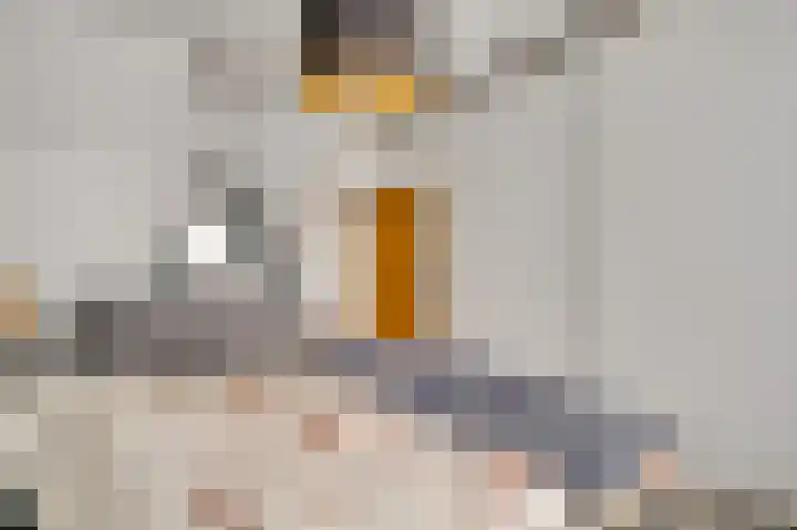 Raadhuisstraat 77 Hulsberg thumbnail 23
